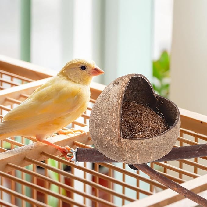 Ipetboom Coconut Bird Nest: Natural Coconut Shell Bird Nest - House Hut Cage with Perch Bell House - Hut Cage for Pet Parrot Parakeet
