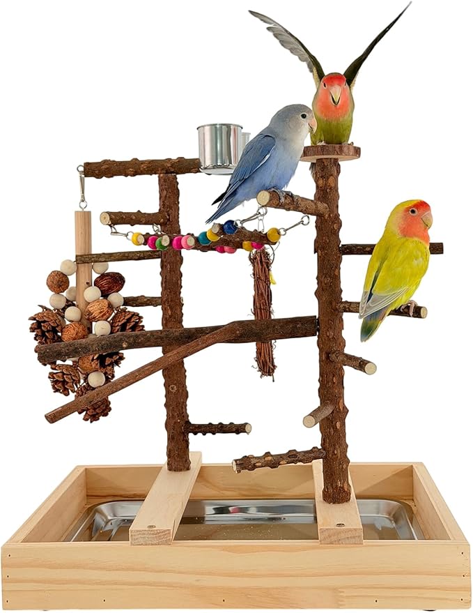 Bird Playground, Natural Wood Bird Play Stand with Stand Perch, Swing, Toy, Two Food Cups, and Removable Tray, Suitable for Lovebirds, Cockatiels, Budgies, Parakeets, and Other Birds
