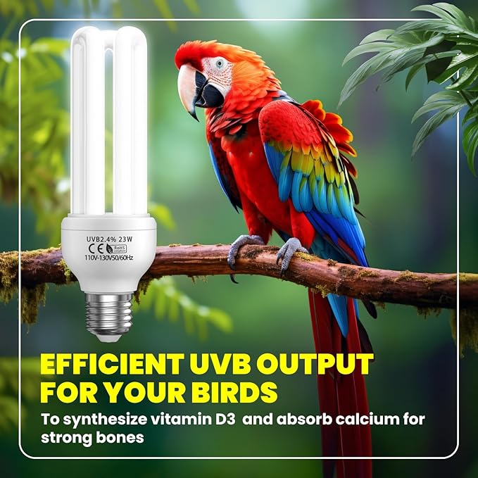 GlowUp 23W UVB Bulb for Bird, UVB 2.4 Compact Fluorescent Light Bulb E26 Birdcage Compact UVB 2.4 Lamp for Captive Birds and Reptiles