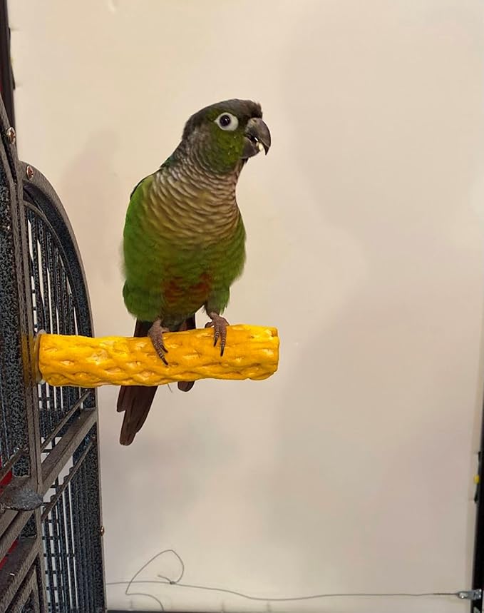 Polly's Beach Sands Nail Trimming Bird Cage Perch for Parakeets, Cockatiels, Amazons, Grays, Cockatoos, Macaws, eclectus and Many Other Birds (Small, Gold)