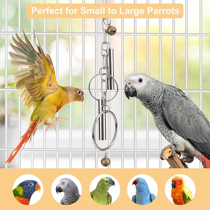 Hypeety Stainless Steel Bird Bell Toys Heavy Duty Hanging Spoons Rings Safe Metal Cage Hanging Bells Toy for Cockatoos Macaws African Grey Large Parrots and Birds (Bells+Rings)