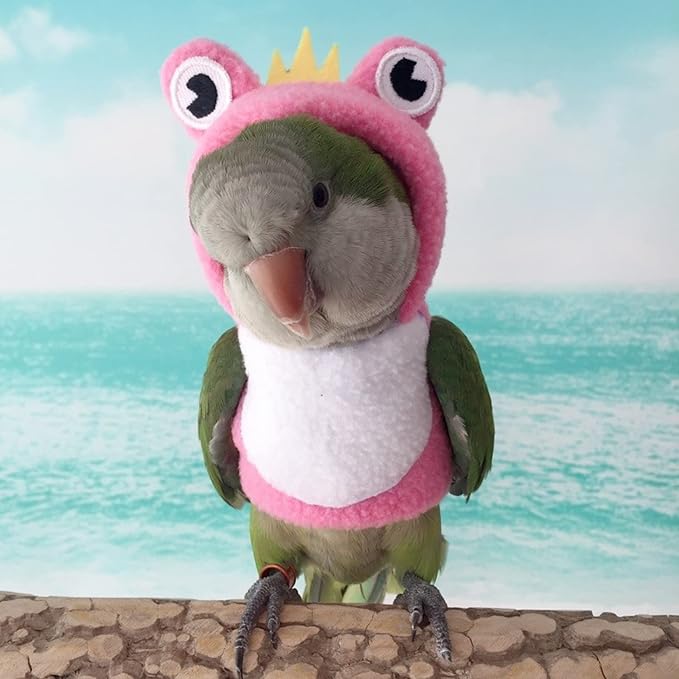 Bird Costume Diaper Flight Suit Frog Shape Hoodie Clothes Cosplay Photo Prop for Parrots Parakeet Cockatiel Sun Conure, Small Animals Apparel (Pink with Diaper, Large), Green (BPF1)