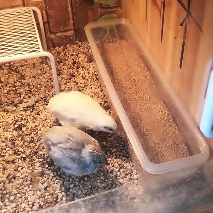 Button Quail Transparent Feeder Flip Top Seed Food Container (8 Holes)