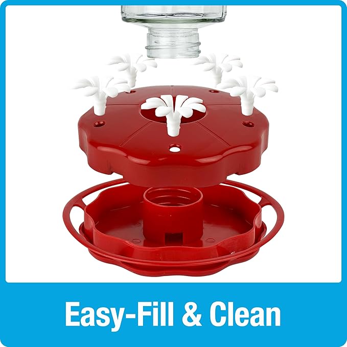 Nature's Way Hanging Glass Hummingbird Feeder for Outdoor Décor, 20 Ounce Capacity Nectar Feeder, Ant Moat, 5 Easy to Clean Flexible Ports, Red