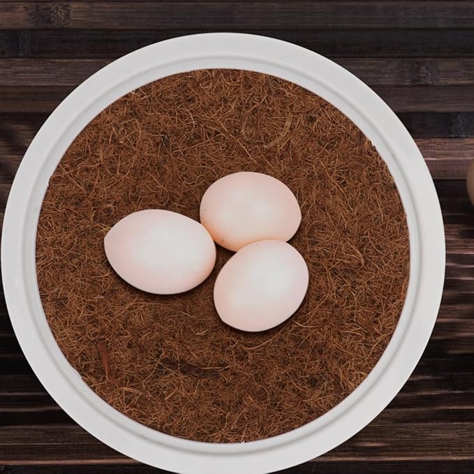POPETPOP Bird Nest Bowls 4 Pack with Coconut Palm Mat - Plastic Breeding and Hatching Nest for Racing Pigeons Doves Quails Chicken - Bird Bed for Cage Pet Supplies