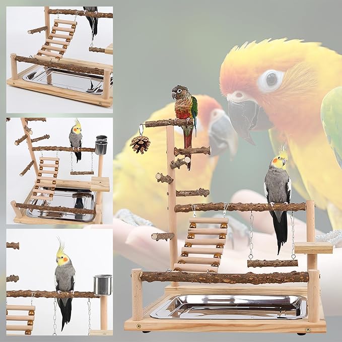 RoseFlower Bird Playground, Parrots Wooden Playstand, Birdcage Playground Play Gym Parakeet Playpen Ladder with Feeder Cup and Tray, Bird Toys Swing Exercise Toy