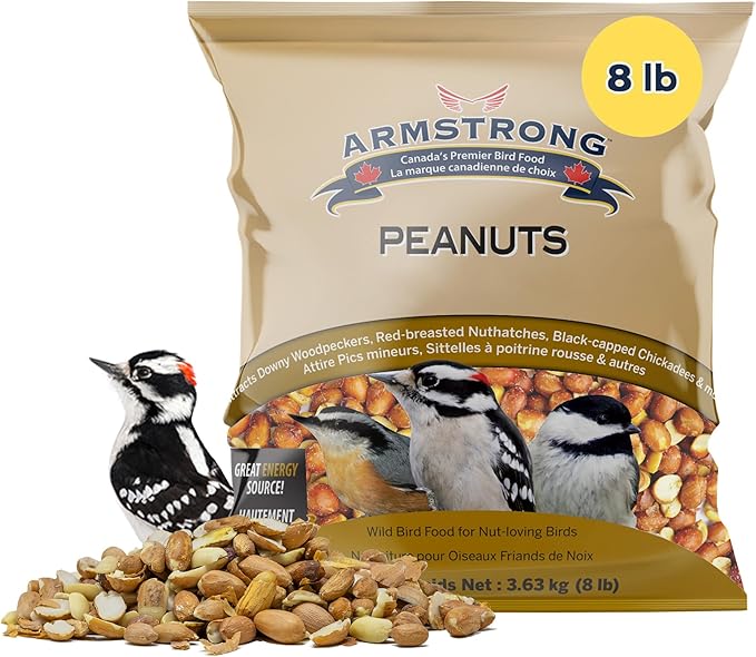 Armstrong Wild Bird Food Shelled Peanut Halves Bird Seed, 8 Pounds - for Downy Woodpeckers, Red-Breasted Nuthatches and Black-Capped Chickadees for Outside Feeders