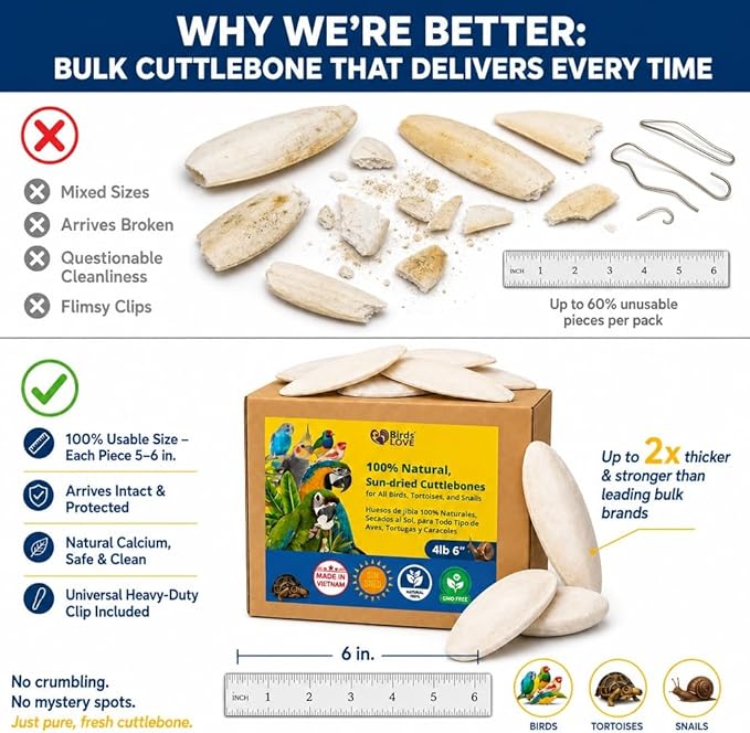 Birds LOVE 5.5-6″ Cuttlebones for Birds – 100% Natural Sun-Dried Calcium Carbonate Mineral Supplement – for Parakeets, Budgies, Cockatiels, Finches & Canaries – 4 lb with Holder – Made in Vietnam