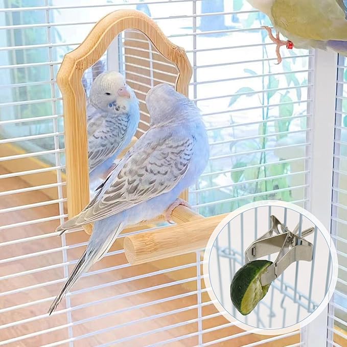 5Pcs Bird Food Holder, Cage Mount Fruit Bird Feeder Stainless Steel Clip Style for Parakeet Budgie Macaw