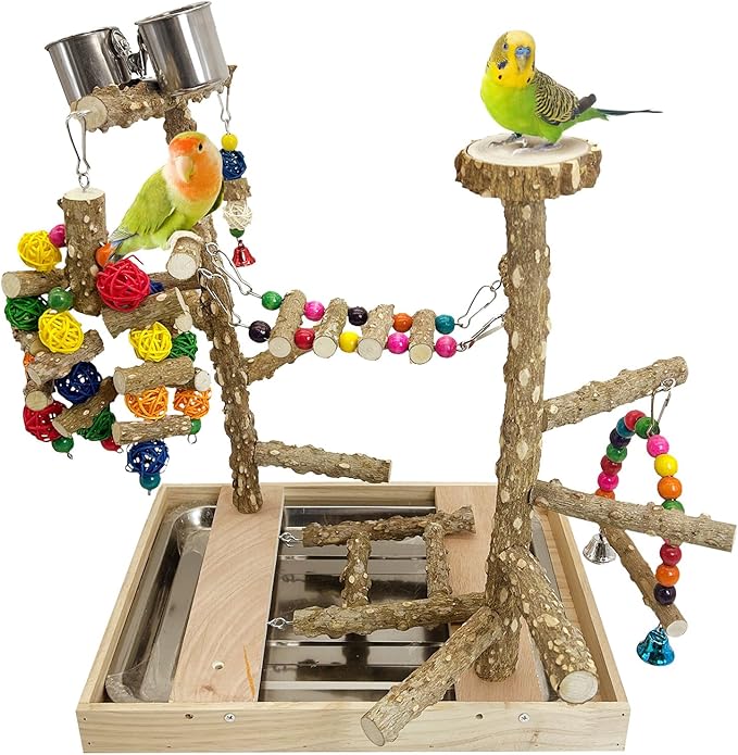 PINVNBY Bird Playground Natural Wood Parrot Perch Stand Bird Play Gym Colorful Ladder Swing Chewing Toys with Metal Tray and 2 Stainless Steel Cups Cage Accessories for Conure Cockatiel Parakeet