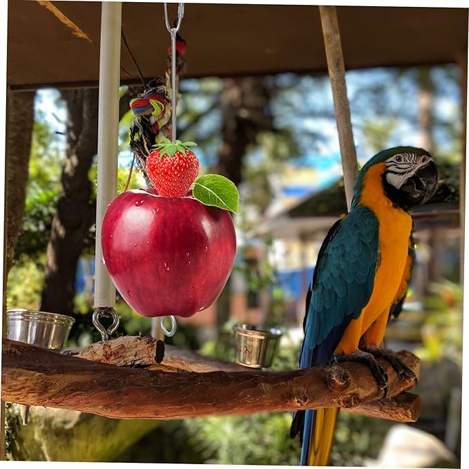 Mipcase 15pcs Bird Cage Food Holder Fruit Vegetable Skewer Hanger for Indoor Bird Feeding Easy to Clean for Parrots Cockatiels