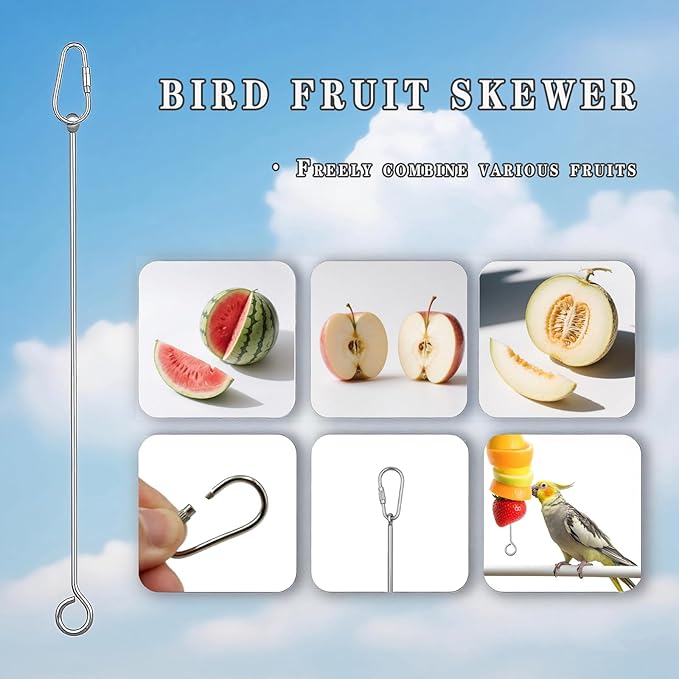5-Pack Bird Cage Food and Fruit Skewer Set, Parrot Fruit Clip Feeder, Stainless Steel Bird Food Holder, Foraging Toys for Budgies, Cockatiels, and Finch Species