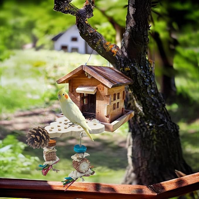 2 Pack Parrot Toys, Parrot Wooden Toys Long Tailed Bird Toys with Pure Natural Corn Sticks and Pure Natural Pine Cones, Fun Bird Cage Accessories (Platform & Platform)