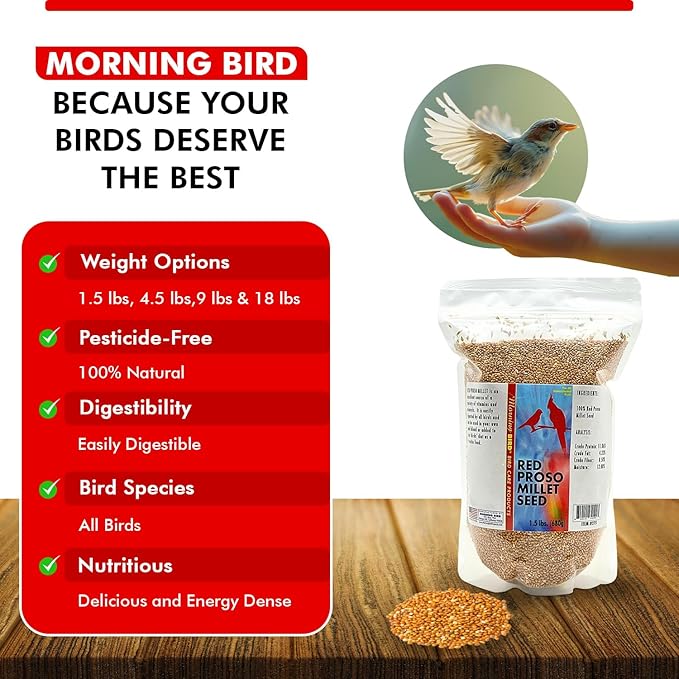 Morning Bird Red Proso Millet 1.5 lbs – Natural Bird Seed – Supports Feather Growth & Balanced Nutrition – Great Flavor, Energy Dense - Ideal for Finches, Parakeets & Pet Birds
