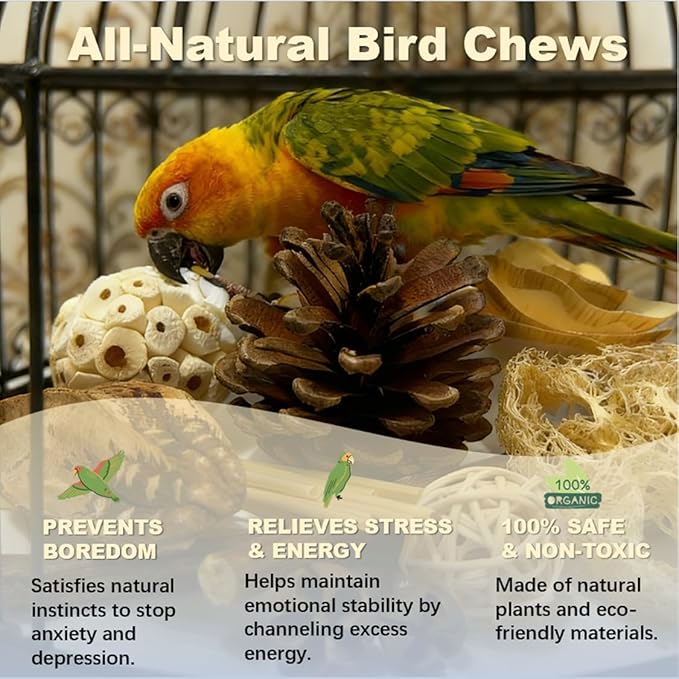 Bird Toys - Sola Ball Foraging Box, 10 Natural Ingredients | Chewing and Shredding Parrot Toys | Ideal for Parakeets/Cockatiels/Conures/Lovebirds and Small to Medium Birds