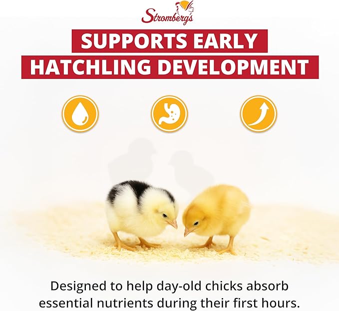 Stromberg's Peck n' Grow, Balanced Hatchling Nutrition Supplement with Probiotics and Essential Vitamins, Instinct-Promoting Chick Starter Formula for Strong Early Growth, 7.05 oz Pack for 2500 Chicks