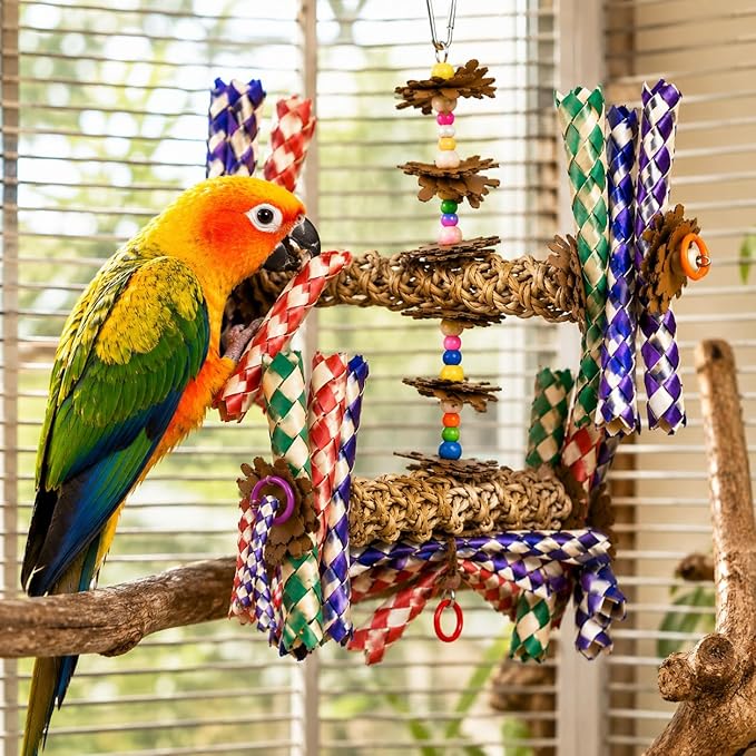 Bonka Bird Toys 1241 Double Helix 11" High by 9" Wide Parrot Toy, Amazon, African Grey, Conure, and Similar Sized Birds