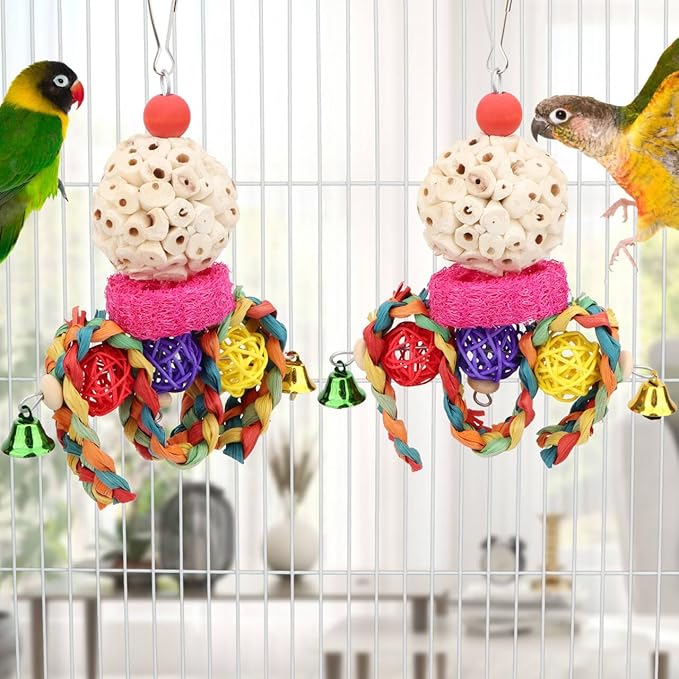 Wontee Bird Toys 3 Pack Parrot Foraging Hanging Toys Sola Ball Natural Nuts Chew Toys for Cockatiels Conures Parakeets Budgies Senegal (2 Pack-Colorful)