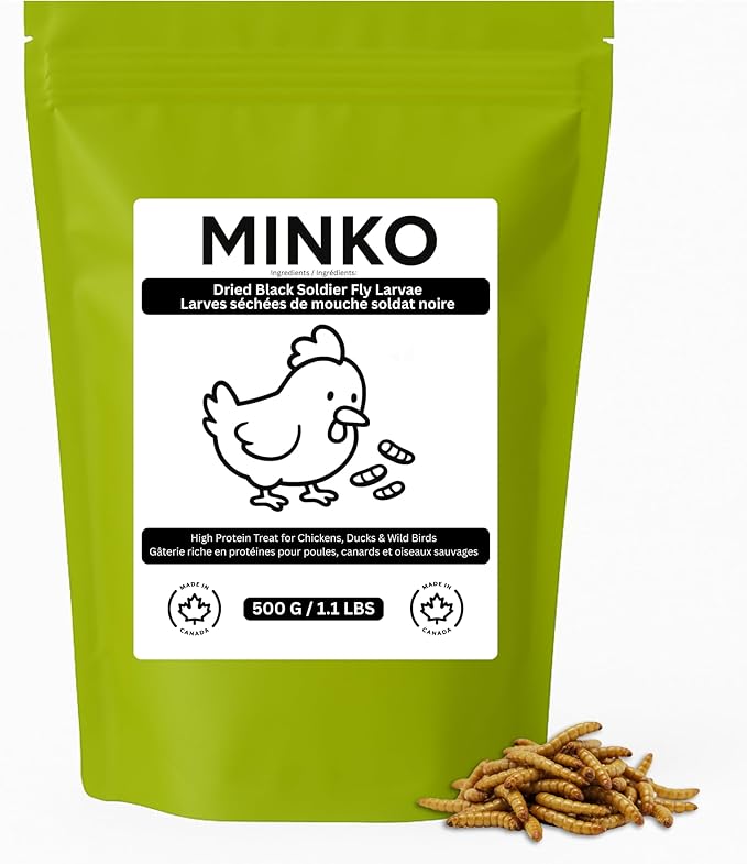 MINKO Canadian Black Soldier Fly Larvae 500 g (1.1 Lbs), High Protein Treats for Chickens, Ducks, Wild Birds, BSFL Snack for Poultry, Reptiles, Koi, Hamsters (500 g (1.1 lb), Natural)