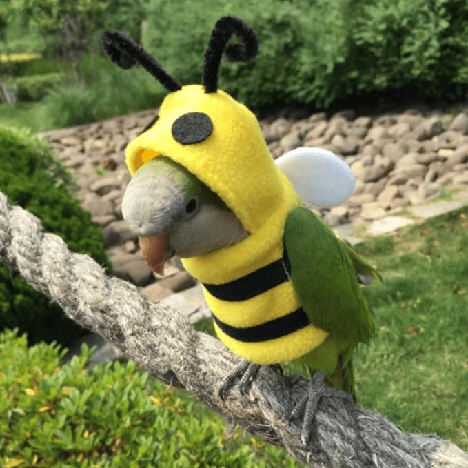 Bird Bee Shape Cosplay Photo Prop for Parrots Lovebird Budgie Parakeet Cockatiel Sun Conure, Small Animals Apparel (X-Large)