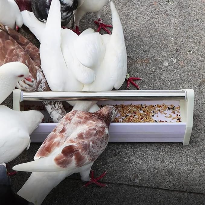 2 Pcs Pigeon Feeder Durable Reinforced Plastic Food Box Feeding Dish Storage Trough for Bird Pigeon Parrot Duck Home Poultry (Length: 15.5")