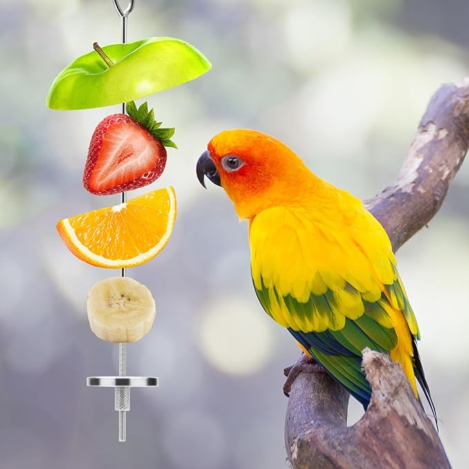 Bird Food Holder Stainless Steel Fruit Vegetable Stick Skewer for Parrots Cockatoo Cockatiel Cage Treating Tool (2 PCS-L)