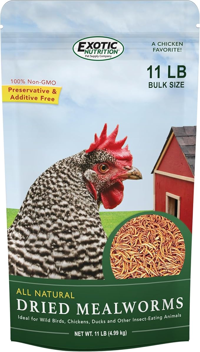 Dried Mealworms - 100% Natural, Non-GMO, High Protein, Bulk Insect Treat for Chicken, Laying Hen, Chick, Wild Bird, Bluebird, Duck, Goose, Turkey, Chickadee, Titmice, Wren, Reptile, Fish (11 lb.)