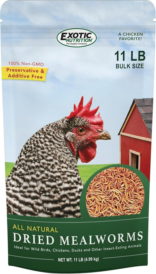 Dried Mealworms - 100% Natural, Non-GMO, High Protein, Bulk Insect Treat for Chicken, Laying Hen, Chick, Wild Bird, Bluebird, Duck, Goose, Turkey, Chickadee, Titmice, Wren, Reptile, Fish (11 lb.)