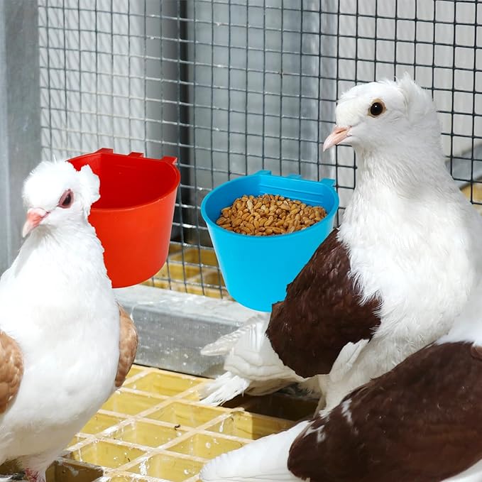 30 Pcs Cage Cups Birds Feeders Bowl Chicken Feeding Watering Dish Hanging Wire Cages Box Coop Cups for Pet Parrot Parakeet Gamefowl Poultry Pigeon and Quail（Blue and Red）