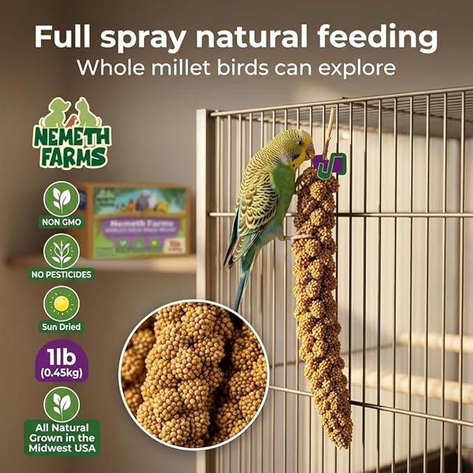 Nemeth Farms Spray Millet - Edible Tops Only, Non-GMO and Sun-Dried - 1 lb for Parakeets, Canaries and Finches