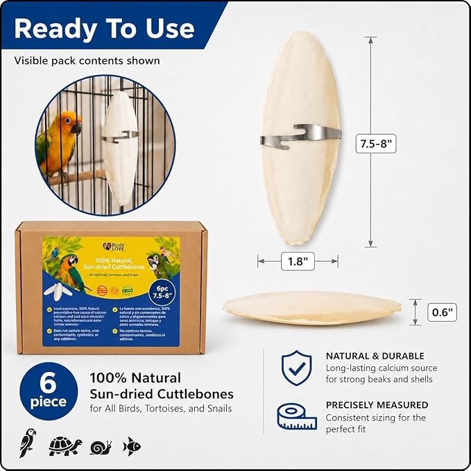 Birds LOVE 7.5-8" Cuttlebone for Birds – 100% Natural Sun-Dried Calcium Carbonate Mineral Supplement – for Parakeets, Budgies, Cockatiels, Finches & Canaries – 6 Pack with Holder – Made in Vietnam
