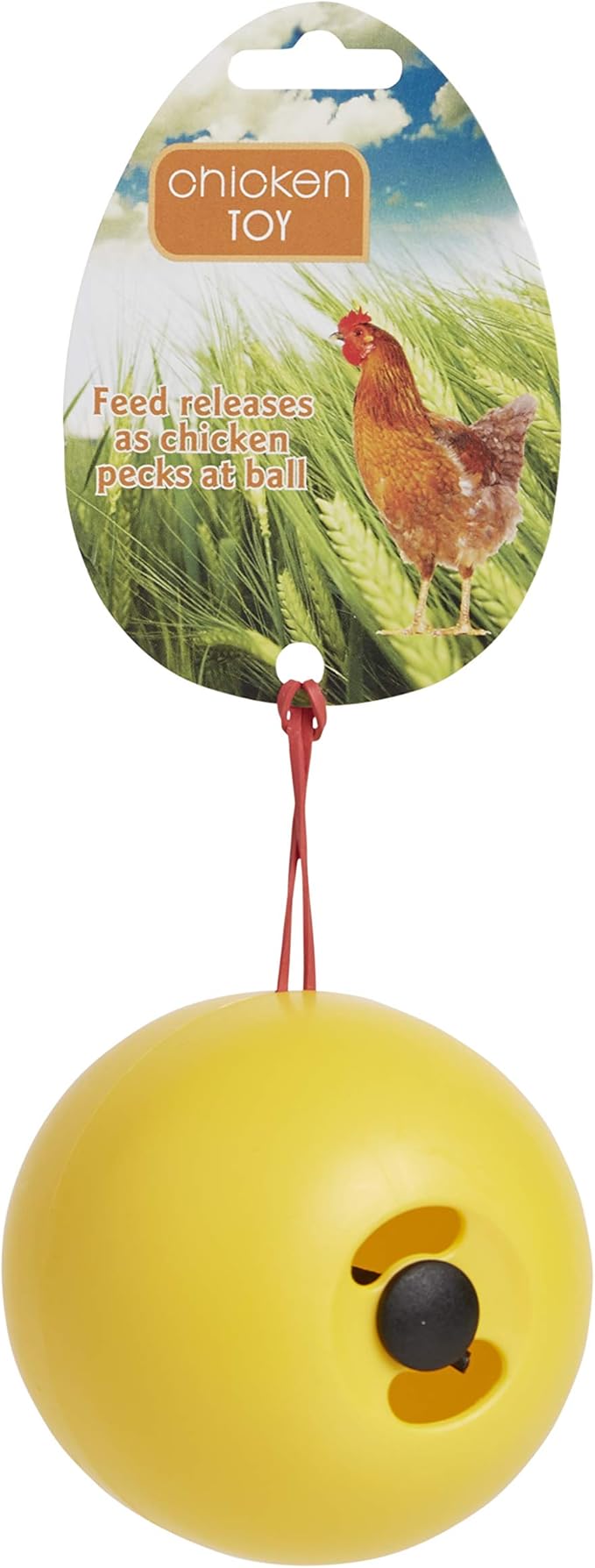 Lixit Chicken Feeder or Treats Ball Toy (2 Pack)