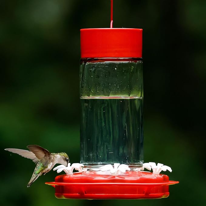 Nature's Way Hanging Glass Hummingbird Feeder for Outdoor Décor, 20 Ounce Capacity Nectar Feeder, Ant Moat, 5 Easy to Clean Flexible Ports, Red