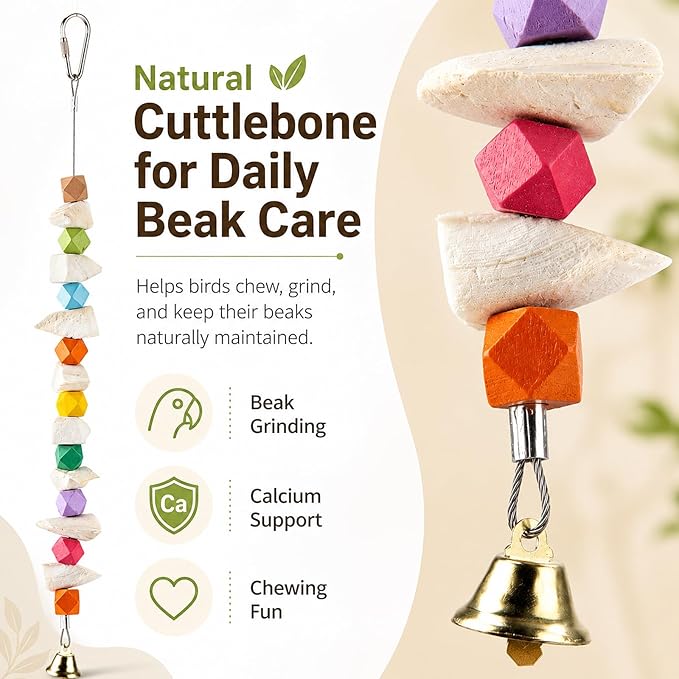 2 Pack Bird Toys with Cuttlebone, Parakeet Toys for Cage, Beak Grinding Stone and Cuttlefish Bone Chew Toys for Budgies, Cockatiels, Lovebirds, Green Cheeks, Conures, Small to Medium Birds