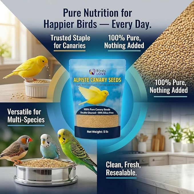 Birds Love Alpiste Canary Seed – 100% Pure, Non-GMO, Double Cleaned Food for Canaries, Finches, Budgies & Parakeets – No Additives, Bird Feed, 5 lbs