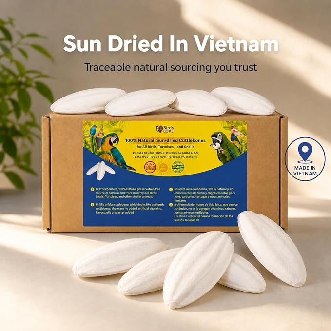 Birds LOVE 7.5-8" Cuttlebone for Birds – 100% Natural Sun-Dried Calcium Carbonate Mineral Supplement – for Parakeets, Budgies, Cockatiels, Finches & Canaries – 6 Pack with Holder – Made in Vietnam