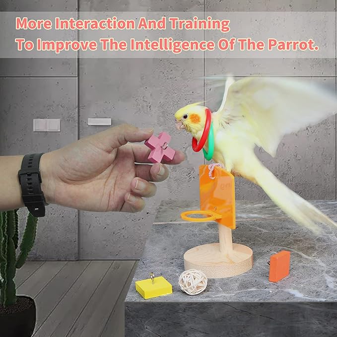 Bird Toys,Parrot Training Toys for Lovebird,Five-Types Parakeet Toys Sets for Conure, Cockatiel,12 PCS Parrot Intelligence Toy,Basketball Hoop,Skateboard,Stacking Toys,Wooden Block Bird Puzzles Toy
