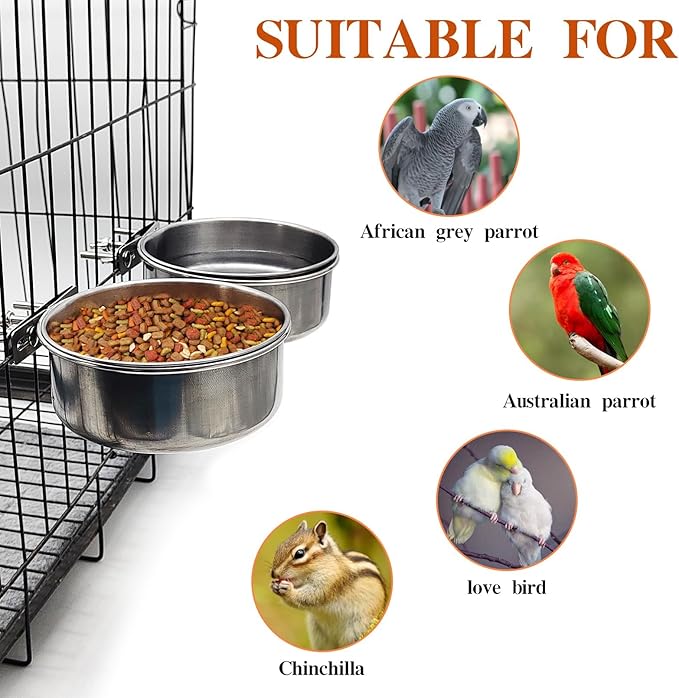 PINVNBY 2pcs Stainless Steel Bird Bowl Feeding Dish Cups for Parrot, Parakeet, African Greys, Conure, Cockatiels, Lovebird, Budgie, Chinchilla (L)