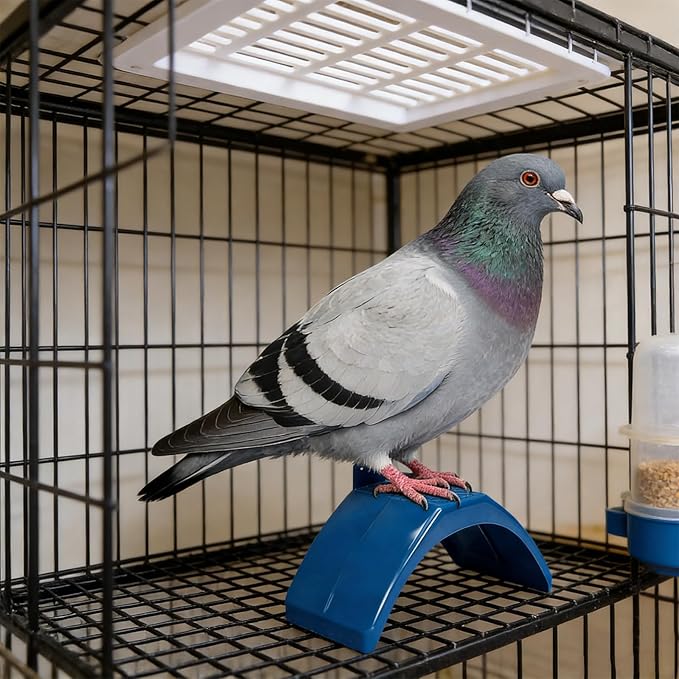 20 Pcs Lightweight Plastic Dove Rest Stands - Pigeon Perches Roost Holder, Birdcage Accessories Dwelling Frame for Pigeons, Parrots and Other Birds