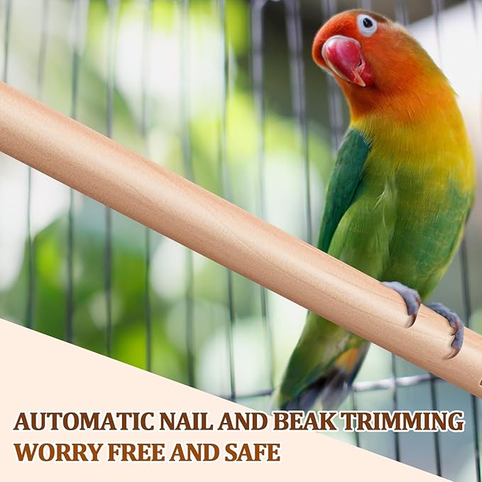 Sintuff 8 Pcs Bird Perches for Cage Accessories, Wooden Perch Rods Replacement with Double Head Slots, 0.6 Inch Diameter Natural Wood Stand for Parrot Macaw Cockatoo Parakeet (18 Inches,24 Inches)
