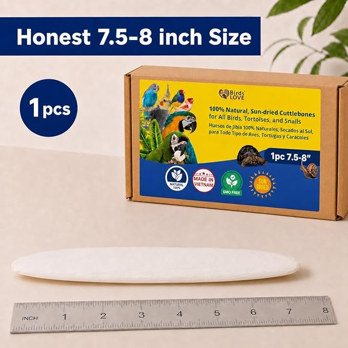 Birds LOVE 7.5-8" Cuttlebone for Birds – 100% Natural Sun-Dried Calcium Carbonate Mineral Supplement – for Parakeets, Budgies, Cockatiels, Finches & Canaries – 1 Pack with Holder – Made in Vietnam