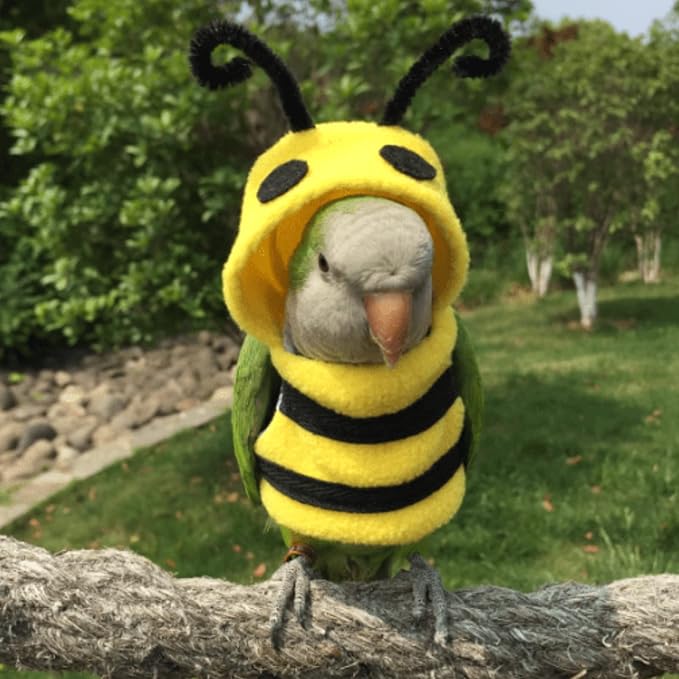 Bird Bee Shape Cosplay Photo Prop for Parrots Lovebird Budgie Parakeet Cockatiel Sun Conure, Small Animals Apparel (X-Large)