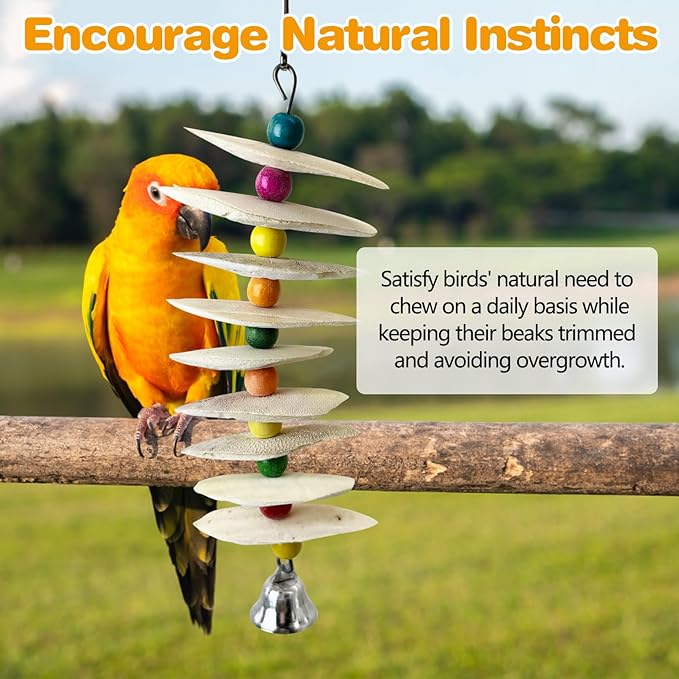 PINVNBY 2 Pack Natural Bird Toys with Cuttlebone Calcium Parakeet Chewing Toy Hanging Bird Beak Grinding Stone Cage Accessories for Parrot Budgie Lovebird Cockatiel (Large)