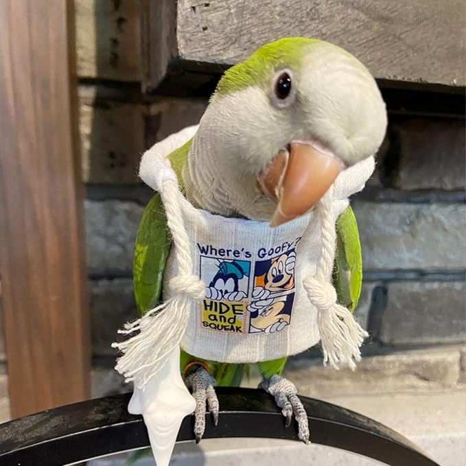 Bird Diaper Flight Suit Frog Shape Hoodie Clothes Cosplay Photo Prop for Parrots Parakeet Cockatiel Sun Conure, Small Animals Apparel (White With Hat, Small)