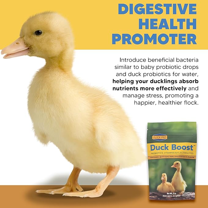 Duck Boost Probiotic - Probiotics, Vitamins, Minerals and Electrolytes for Chickens | Duck Vitamins and Supplements for All Poultry - 8oz