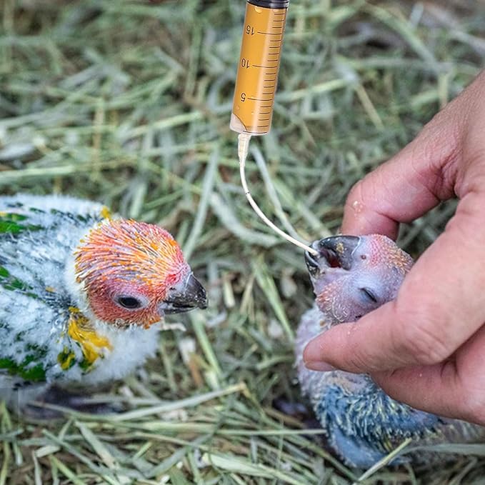 Baby Bird Feeding Syringe Set, Pet Parrot Milk Feeding Syringe with Tubes, Parrot Feeding Tubes Measuring Tools for Feeding Pets Scientific Industrial Labs… (20ml)