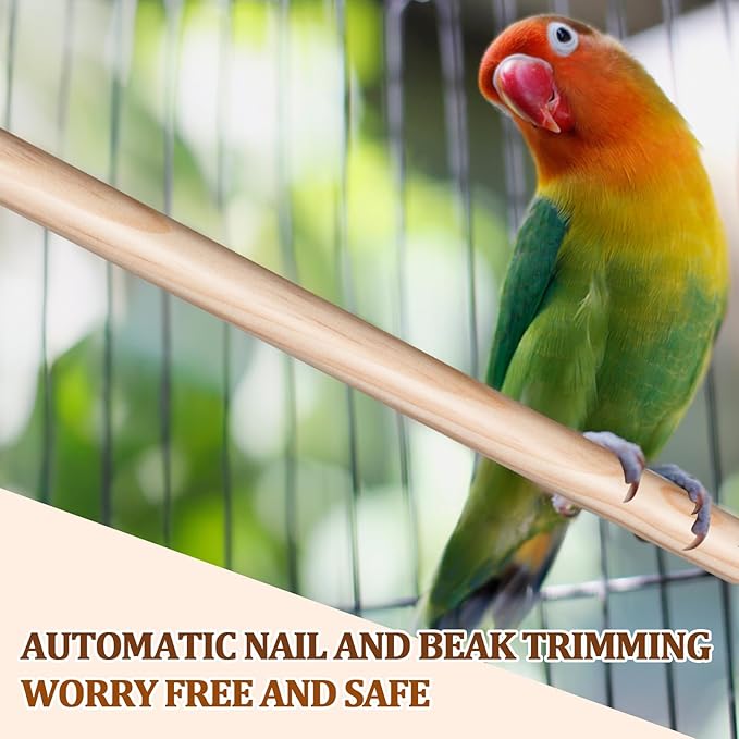 Sintuff 8 Pcs Bird Perches for Cage Accessories, Wooden Perch Rods Replacement with Double Head Slots, 0.6 Inch Diameter Natural Wood Stand for Parrot Macaw Cockatoo Parakeet (24 Inches)