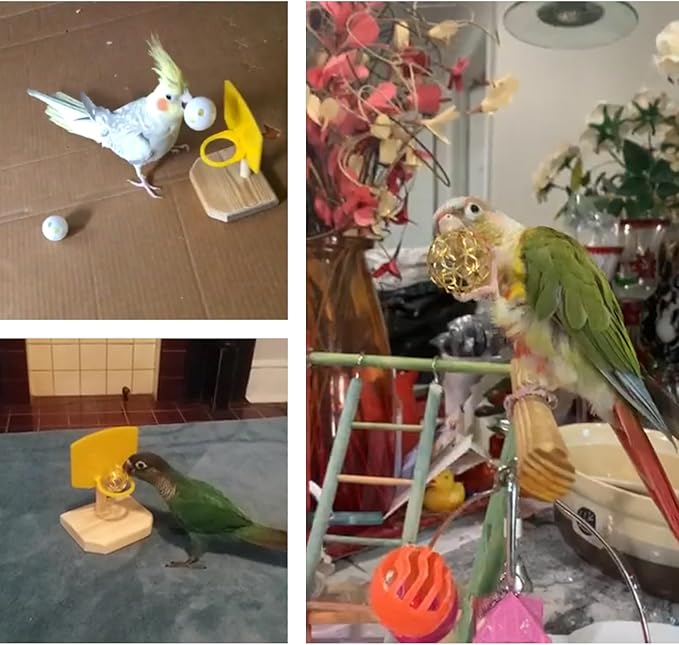 QBLEEV Bird Basketball Toy - Parrot Activity & Foraging Toys, Bird Training Gym