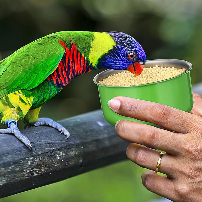 Parrot Feeder Bowl Stainless Steel Bird Hanging Bowls with Wire Hook Birds Food Water Storage Container Cage Cups Holder for Cockatiel Conure Parakeets