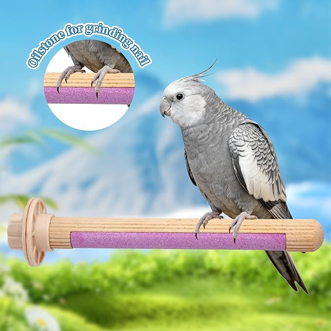 Bird Perches, Wooden Perch with Grooming Stone for Grinding Nail, Bird Perches for Cage, Cage Accessories for Budgies, Cockatiels, Lovebirds, Green Cheeks, Small to Medium Birds